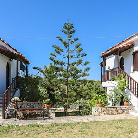 Pandora Studios Skiathos 克里奥斯 外观 照片